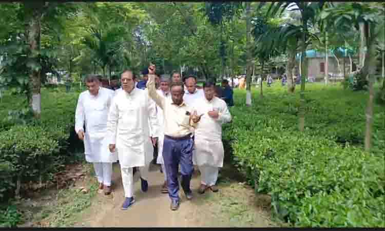 ঢাকা নিউজ পত্রিকা online news portal bangladesh