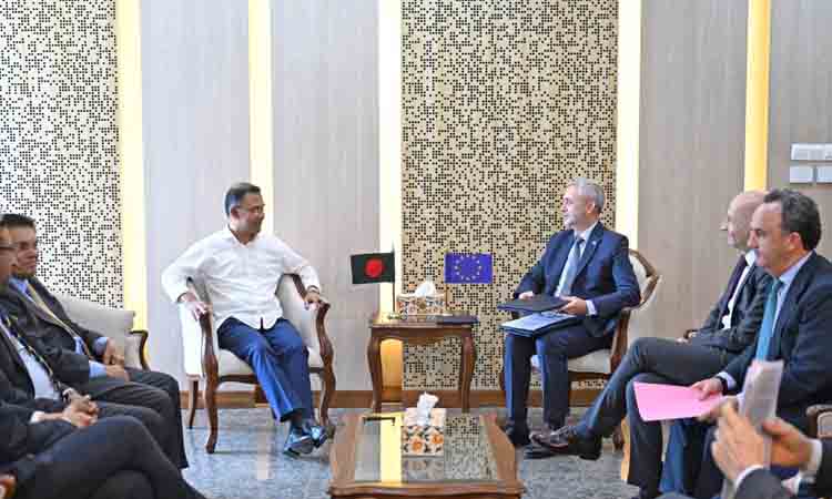 EU delegation calls on PM