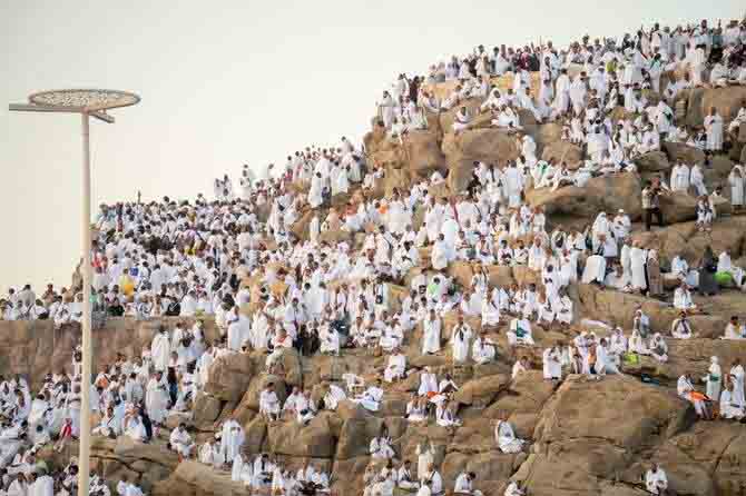Pilgrims pray on Mount Arafat as hajj reaches peak