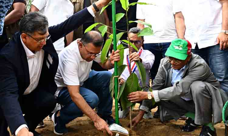 PM rolls out nationwide programme to plant 25 crore trees