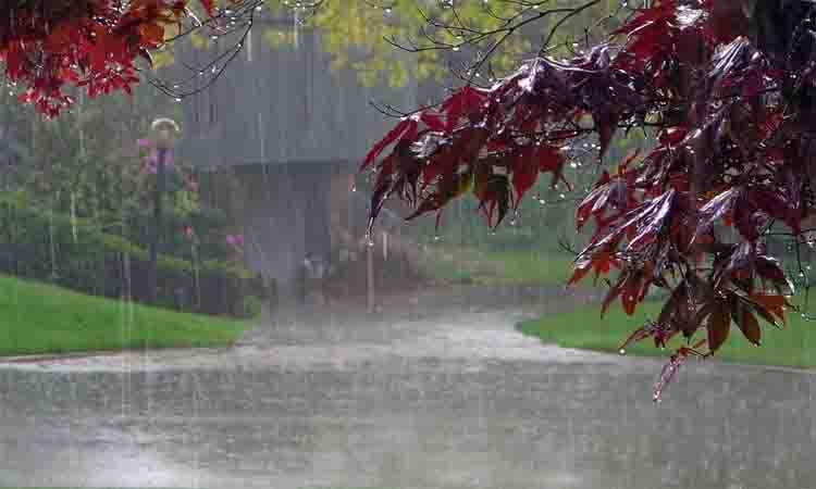 Rain likely in 8 divisions