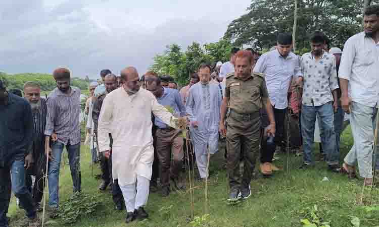 State minister inspects tree plantation programme on Bishkhali River bank