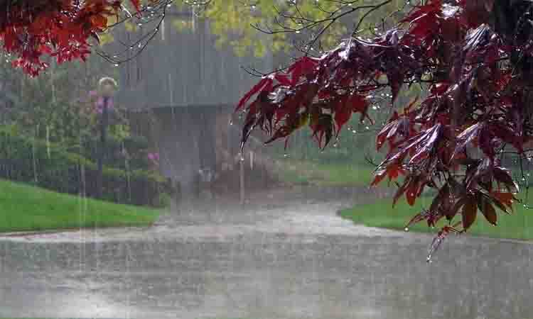 Rain predicted in parts of country