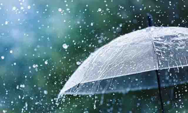 Rain likely