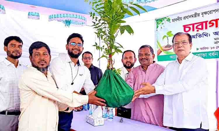 Responsibility extends beyond planting, saplings must be nurtured: Dulu