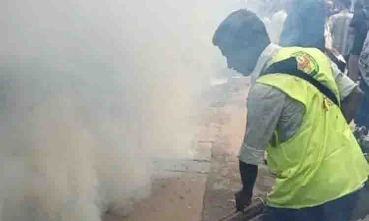 Govt boosts dengue control efforts as experts suggest destroying breeding grounds