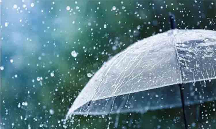 news portal 24 bd
