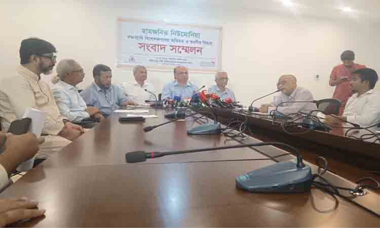 online news portal bd