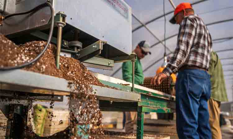 online news portal bd